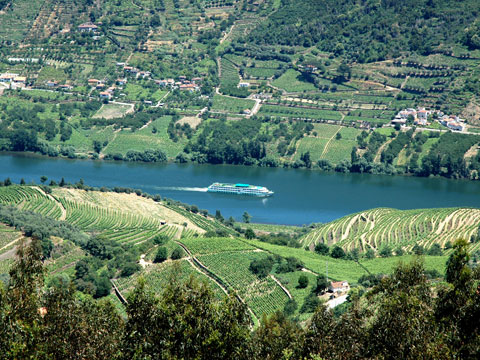 Crociera sul Douro, la Valle del Douro.